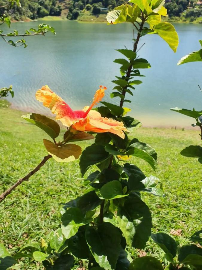 Вилла Maravilhoso Sitio Na Beira Da Represa Игарата Экстерьер фото